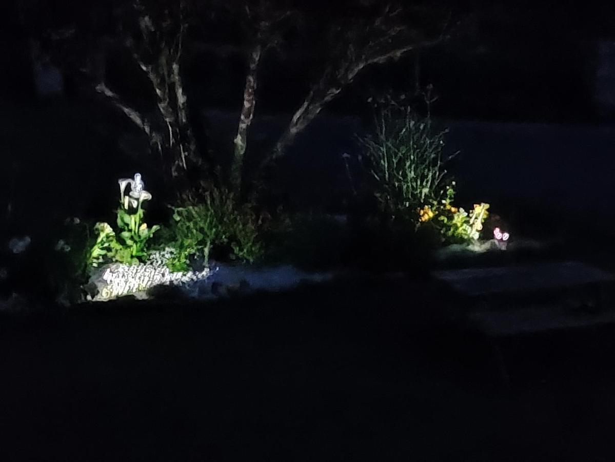 Au Plaisir De L'Ivoie Chambre Double Le May-sur-Evre Εξωτερικό φωτογραφία